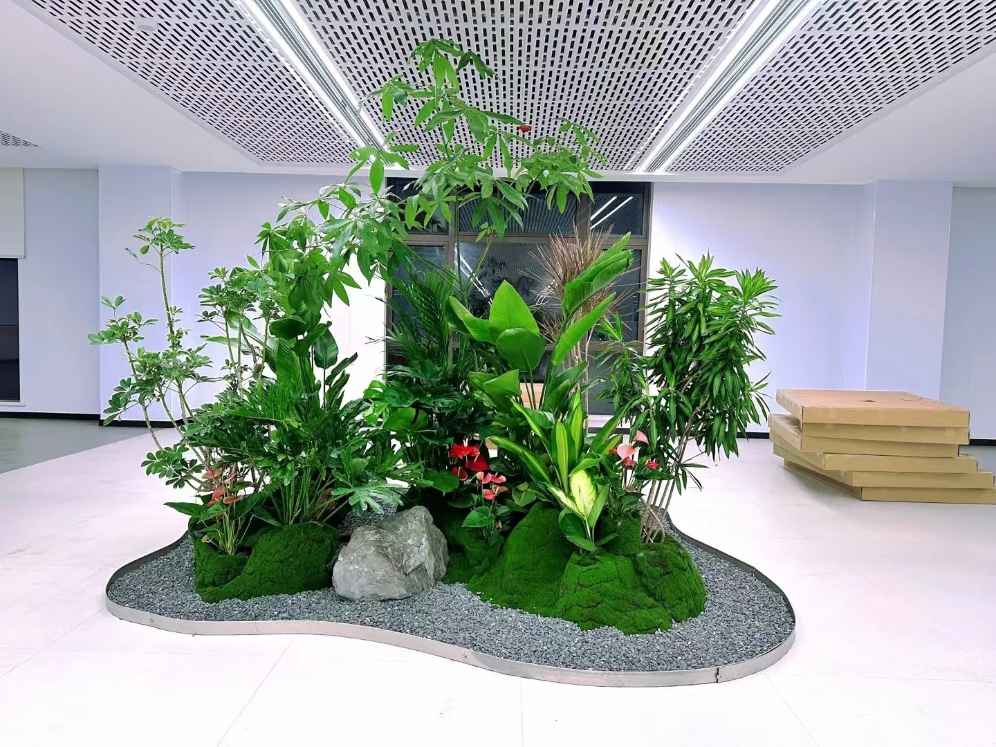 余姚盆景出租，开启清新自然的租赁之旅